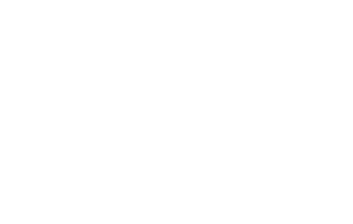 Visi Logo
